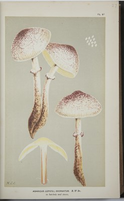 Lot 436 - Cooke, Mordecai Cubbitt (1825-1914) British...