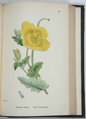 Lot 639 - Sowerby, (J & J.E.) 'English Botany or...