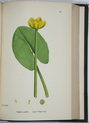 Lot 639 - Sowerby, (J & J.E.) 'English Botany or...