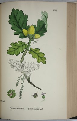 Lot 639 - Sowerby, (J & J.E.) 'English Botany or...