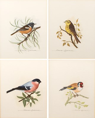 Lot 535 - David Andrews (20th century) 'Grey Wagtail',...