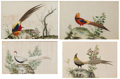 Lot 369 - Set of four pith pictures Chinese, 19th...