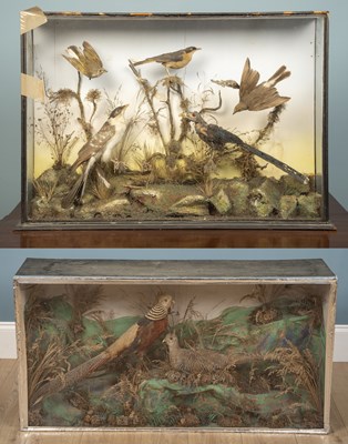 Lot 58 - A pair of taxidermy birds in display cases,...