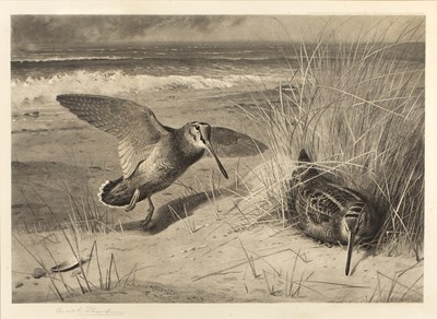 Lot 18 - After Archibald Thorburn Coastal scene with...