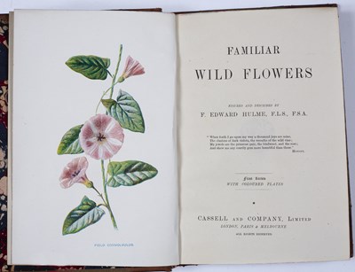 Lot 554 - Hulme, (F. Edward). Familiar Wild Flowers. 1st...