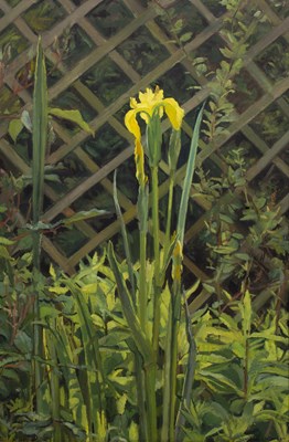 Lot 261 - Neville Crowson (Contemporary) 'Iris', signed,...