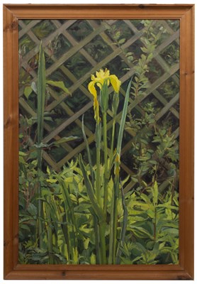Lot 261 - Neville Crowson (Contemporary) 'Iris', signed,...