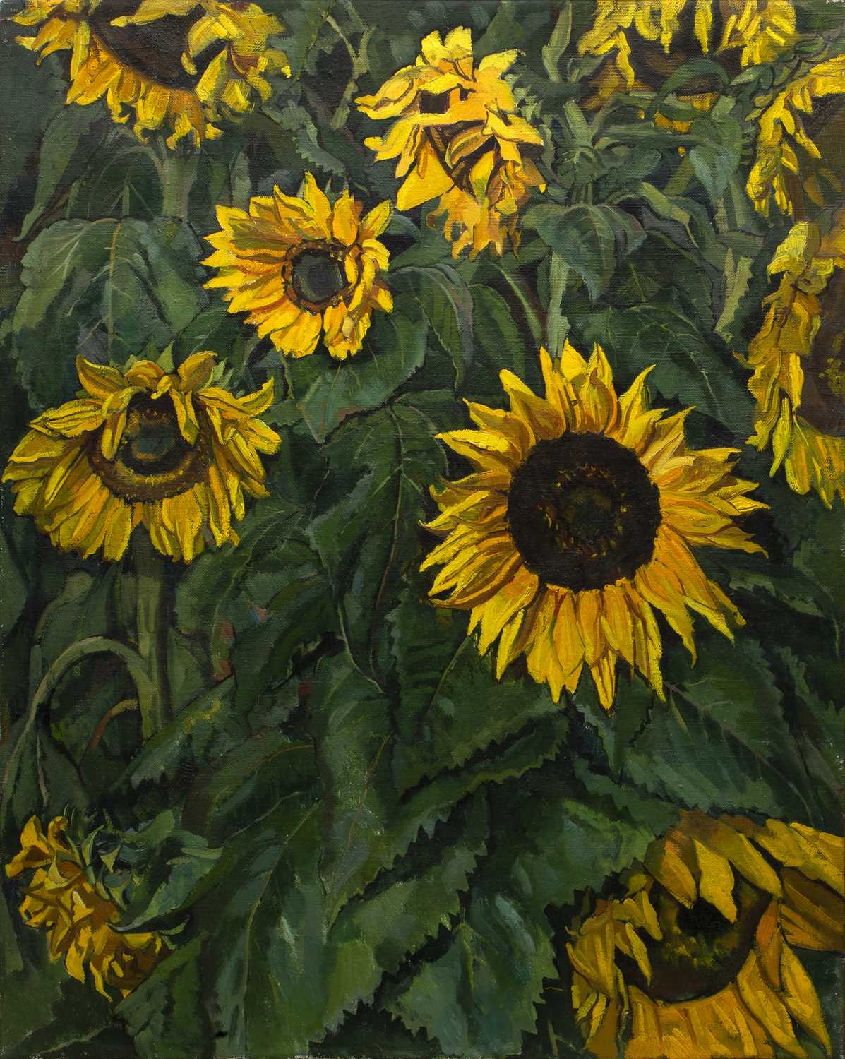 Lot 262 - Neville Crowson (contemporary) Sunflowers,...