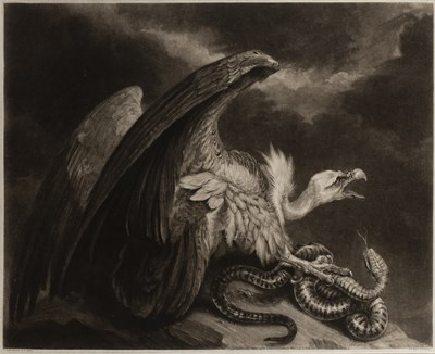 Lot 55 - S.W. Reynolds, after James Northcote Vulture...