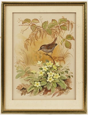 Lot 371 - Paul Alexander Nicholas (b.1943) Wren and...
