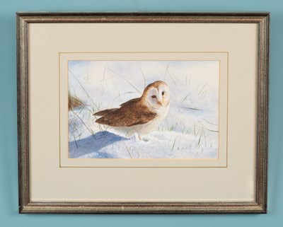 Lot 131 - Mollie Richards (contemporary), Barn Owl in the snow