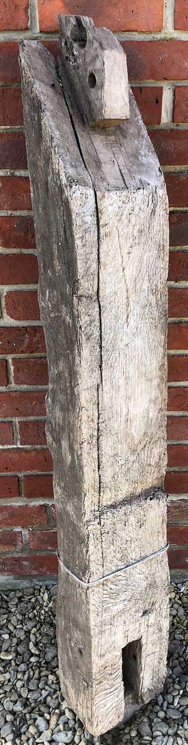 Lot 154 - An ancient timber