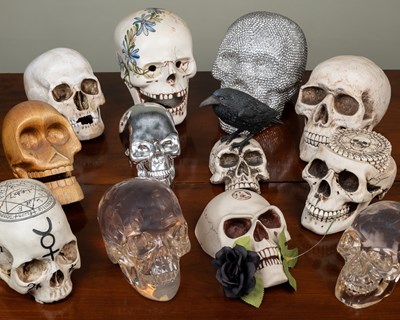 Lot 179 - A group of various decorative composite skulls...