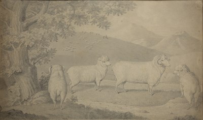 Lot 461 - * Bell 'Dr Parry's Merinos, Summer Hill',...