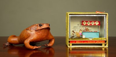 Lot 265 - A taxidermy toad together with a boxed Chinese...