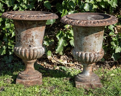 Lot 1173 - A pair of cast iron urns