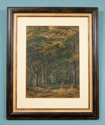 Lot 236 - Myra Corban, a stag in woodland