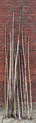 Lot 1192 - A collection of various large bamboo poles