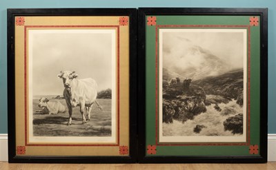 Lot 13 - Abau Dieterte, cattle in a landscape
