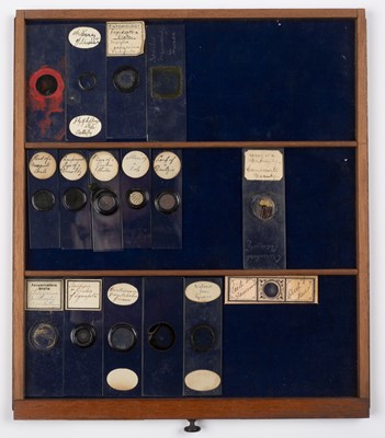 Lot 40 - A Victorian mahogany microscope slide case...