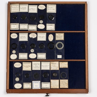 Lot 40 - A Victorian mahogany microscope slide case...
