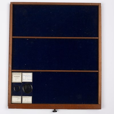 Lot 40 - A Victorian mahogany microscope slide case...