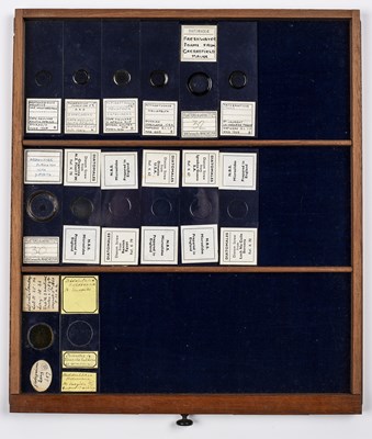 Lot 40 - A Victorian mahogany microscope slide case...