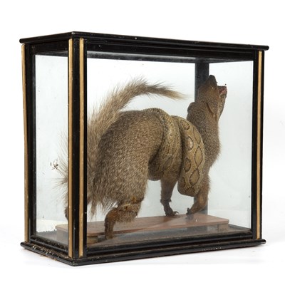 Lot 153 - An antique taxidermic mongoose and snake...