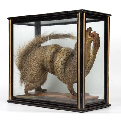 Lot 153 - An antique taxidermic mongoose and snake...