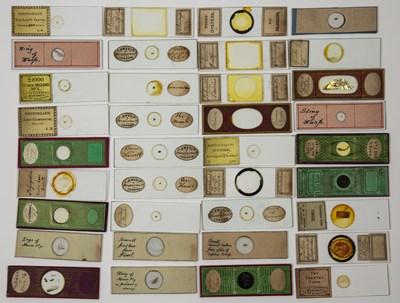 Lot 30 - Microscope slides to include five photograph...