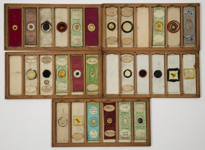 Lot 30 - Microscope slides to include five photograph...