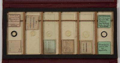 Lot 30 - Microscope slides to include five photograph...