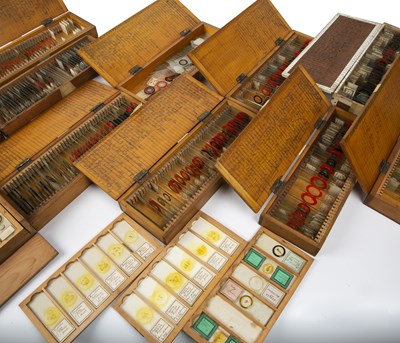 Lot 31 - A collection of microscope slides to include...