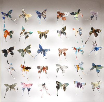 Lot 761 - Rebecca J Coles (Contemporary) Butterfly Box...