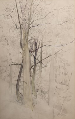 Lot 72 - Gilbert Spencer (British, b.1892-d.1979), tree sketch