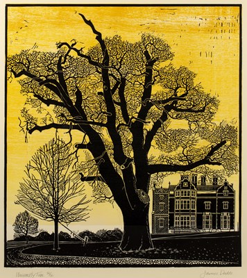 Lot 164 - James Dodds (b.1957) University Tree 36/50,...