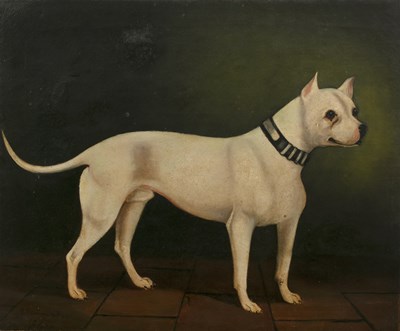 Lot 141 - 19th Century School 'Bull terriers', pair of...