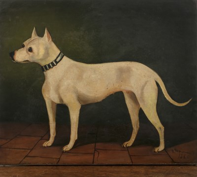 Lot 141 - 19th Century School 'Bull terriers', pair of...