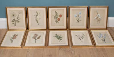 Lot 372 - A set of ten 19th century watercolour botanical studies