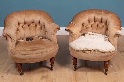 Lot 528 - A pair of 19th century tub chairs