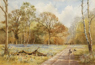 Lot 128 - Jill Smith (Contemporary) 'Bluebell woods with...