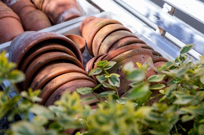 Lot 1253 - Two trays of terracotta flower pots