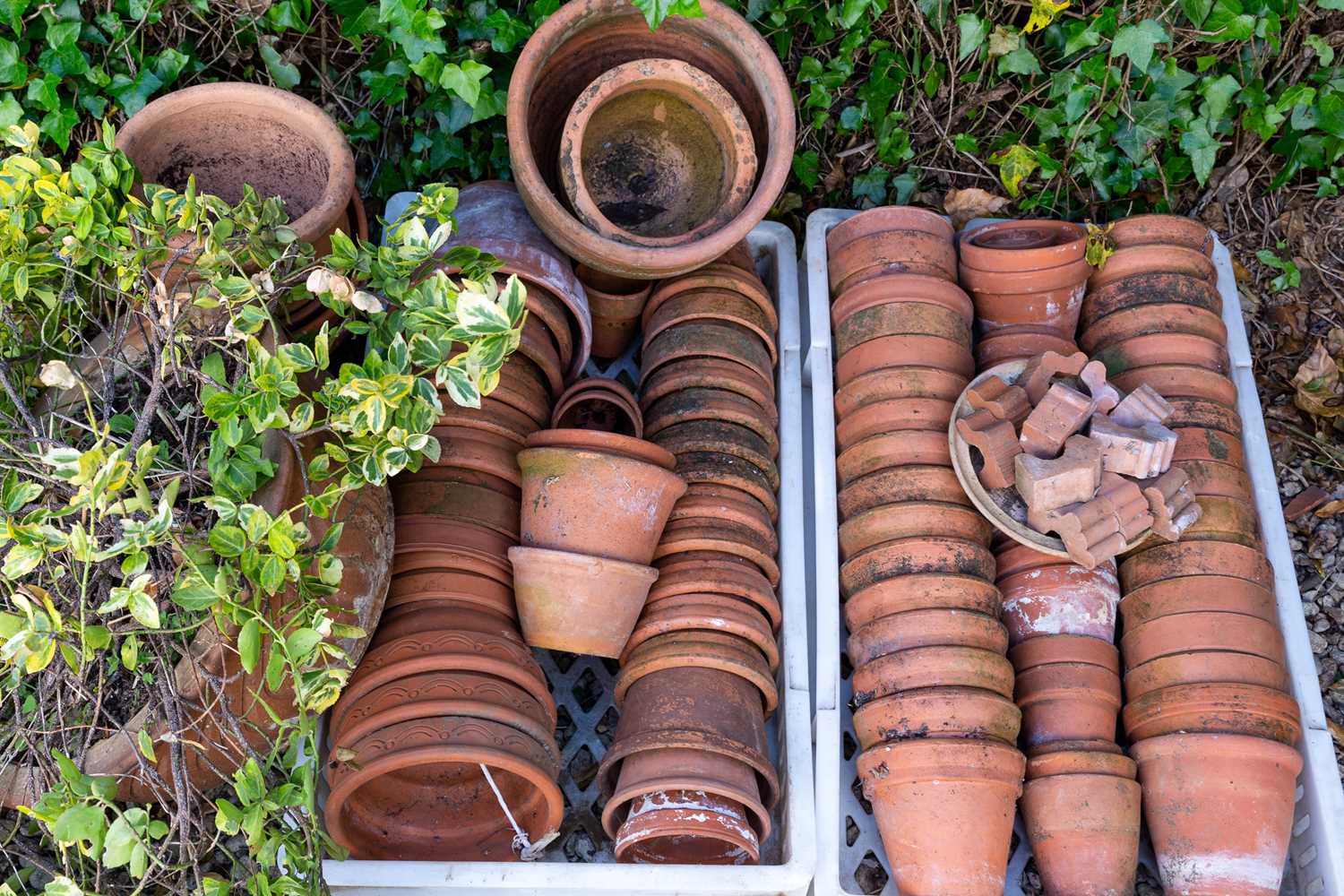 Lot 1253 - Two trays of terracotta flower pots