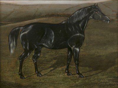 Lot 316 - Manner of John Frederick Herring A black horse...