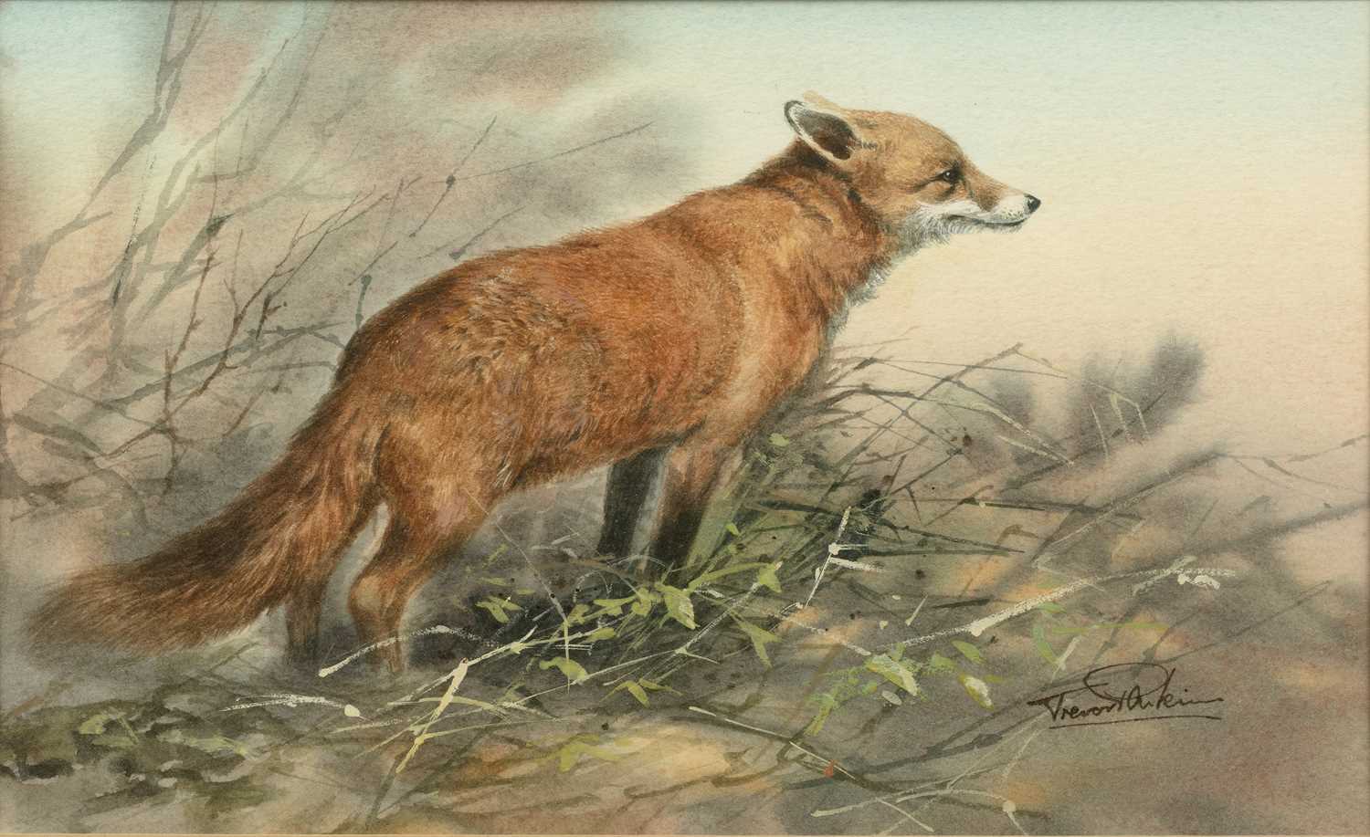 Lot 103 - Trevor Parkin (b.1935) 'Study of a fox',...