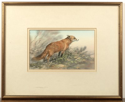 Lot 103 - Trevor Parkin (b.1935) 'Study of a fox',...