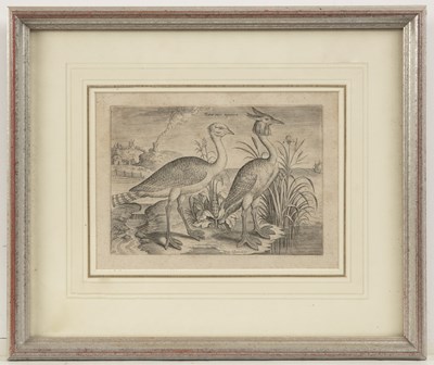 Lot 66 - Adrian Collaert Rarae aues aquatica, engraving,...