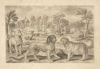 Lot 66 - Adrian Collaert Rarae aues aquatica, engraving,...