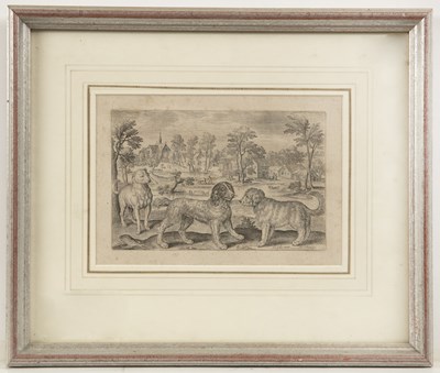 Lot 66 - Adrian Collaert Rarae aues aquatica, engraving,...
