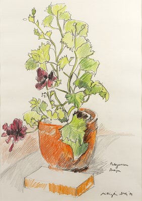 Lot 375 - Teddy Millington-Drake (1932-1994) Pelargonium...